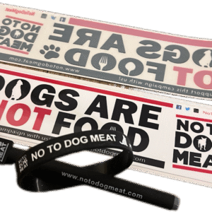 Bundle of stickers,wristband and pen