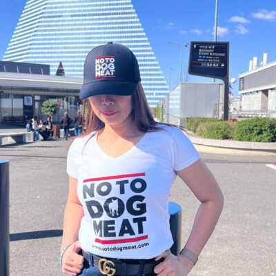 Ladies v neck t shirt