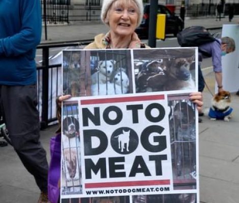 74390017-453E-4224-BD11-7DDF66058B4F