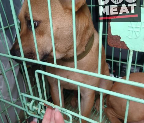 9BC8CDBF-3586-4B4C-B677-E22C4A159606